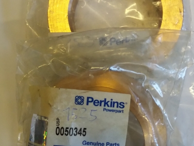 Boccola Perkins